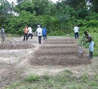 Workshop held for students, farmers in Cape Coast