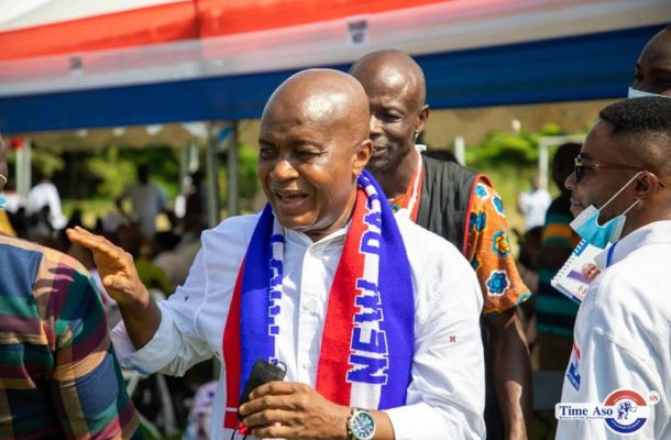 I support Adwoa Safo’s apology – NPP’s National Chairman