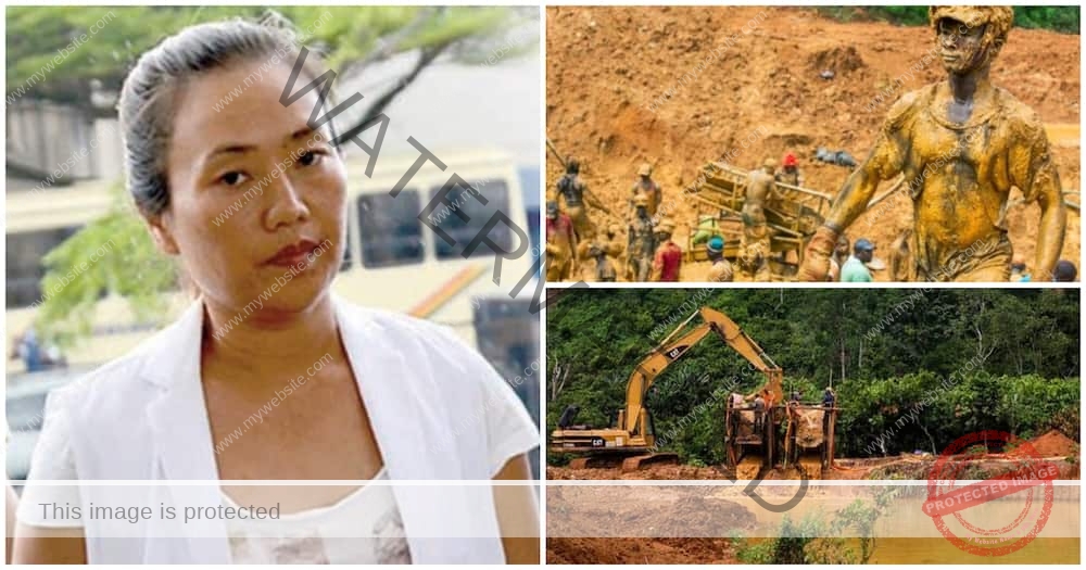 Galamsey queen Aisha Huang jailed 4 years,6 months and fined GH¢48,000