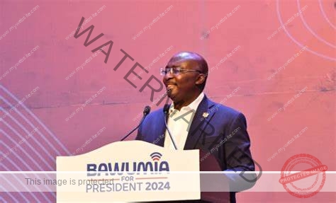 Bawumia unveils campaign team today