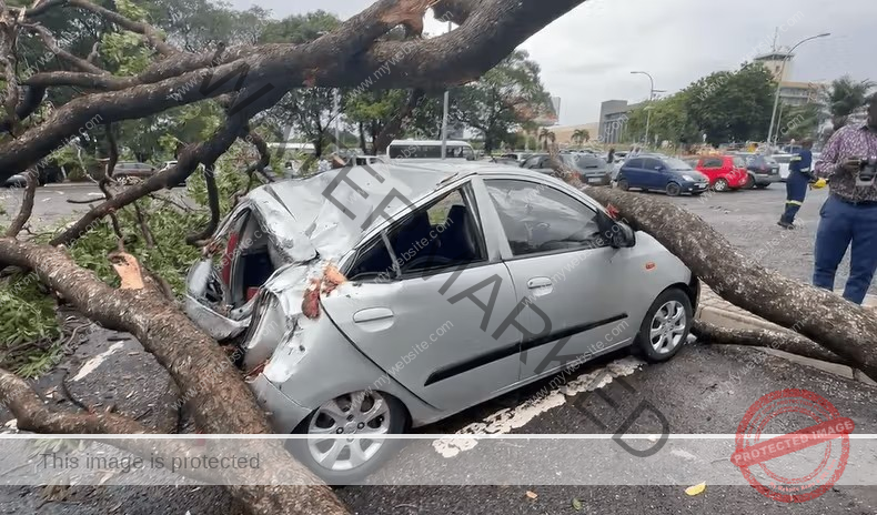 Multiple vehicles are smashed by fallen trees at Airport after Monday’s ‘rainstorm’