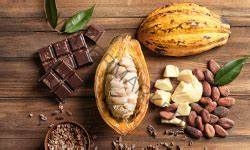 Ghana is fast losing out on the export of its dominant foreign exchange earner, cocoa.