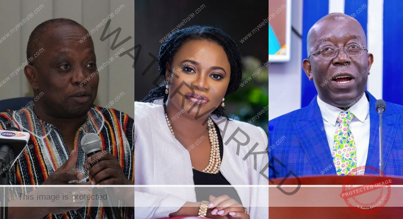 Akufo-Addo Appointees Sacked Over Controversies And Other Allegations