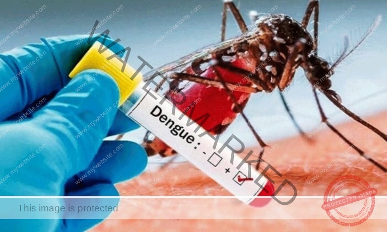 Ghana Health Service has reported over 100 cases of Dengue fever in 6 regions