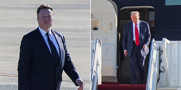 Trump names Elon Musk to lead government efficiency drive